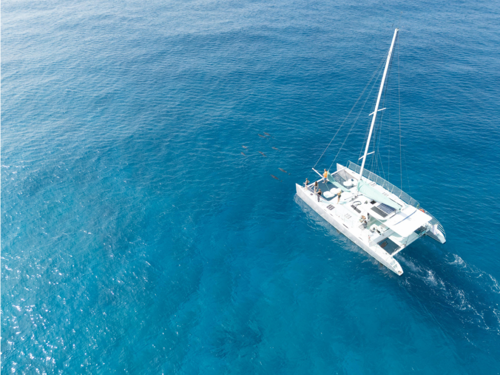 A ทัวร์เกาะสิมิลัน SpeedBoat-Catamaran ไปเช้า-เย็นกลับ