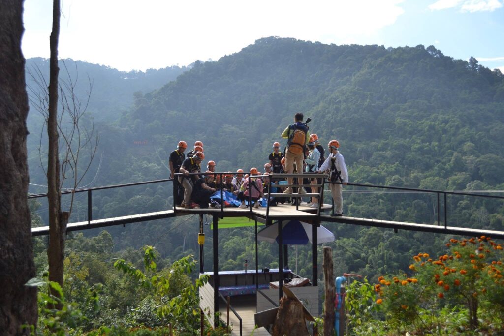 Skyline Jungle Luge