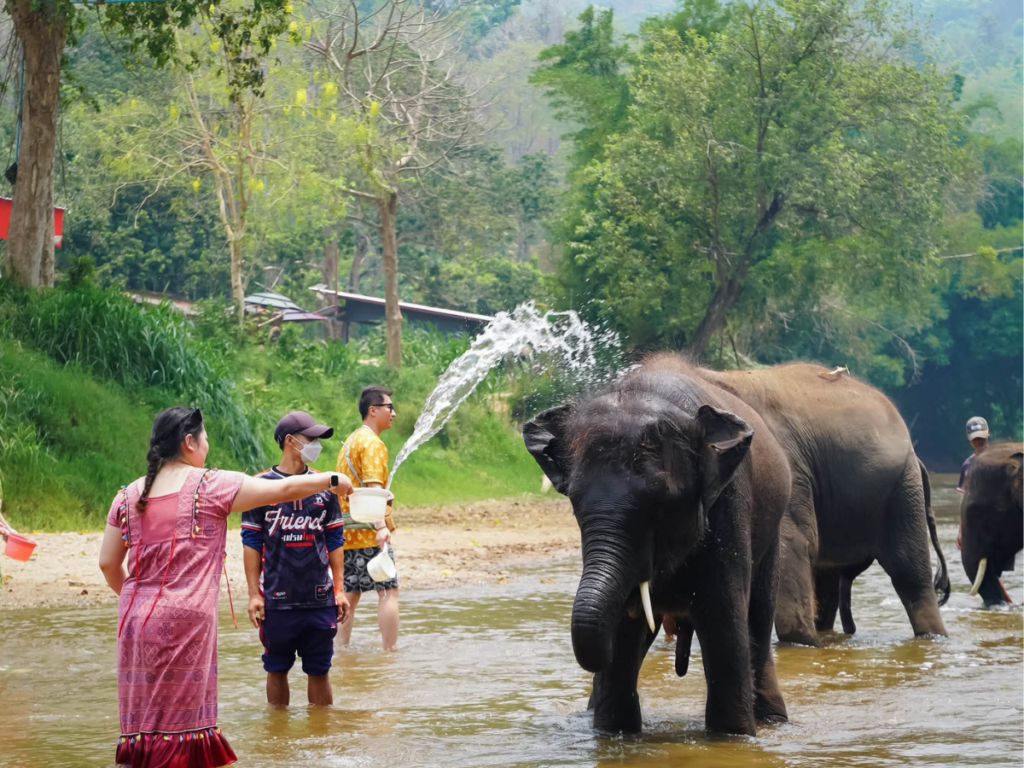 Cholchai Elephant Camp