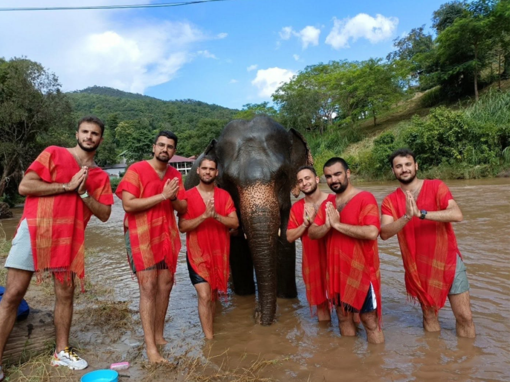 Cholchai Elephant Camp