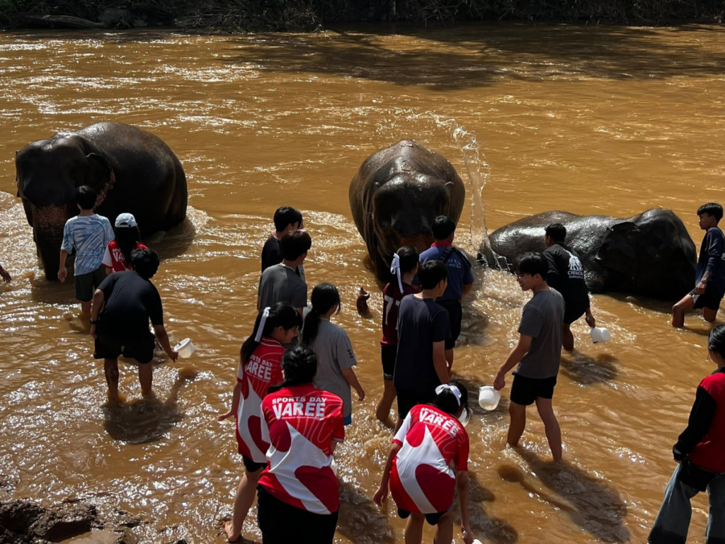 Cholchai Elephant Camp