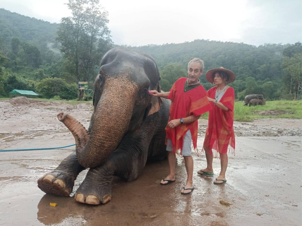 Cholchai Elephant Camp