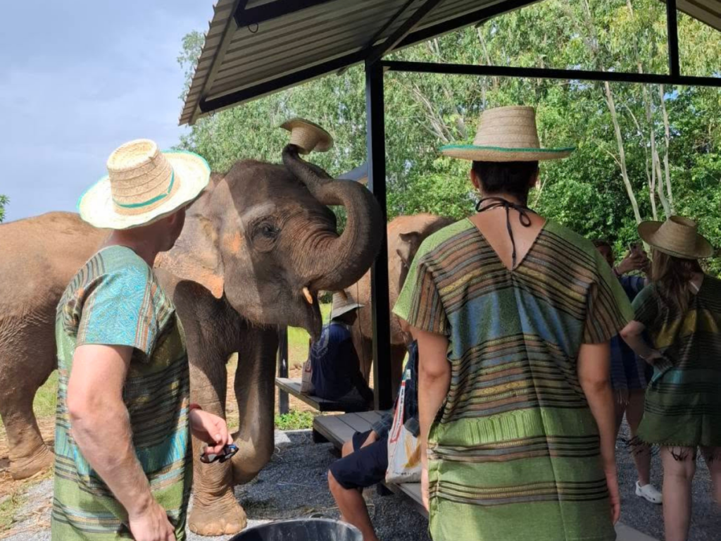 Elephant Fun Farm