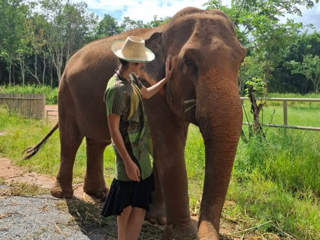 Elephant Fun Farm