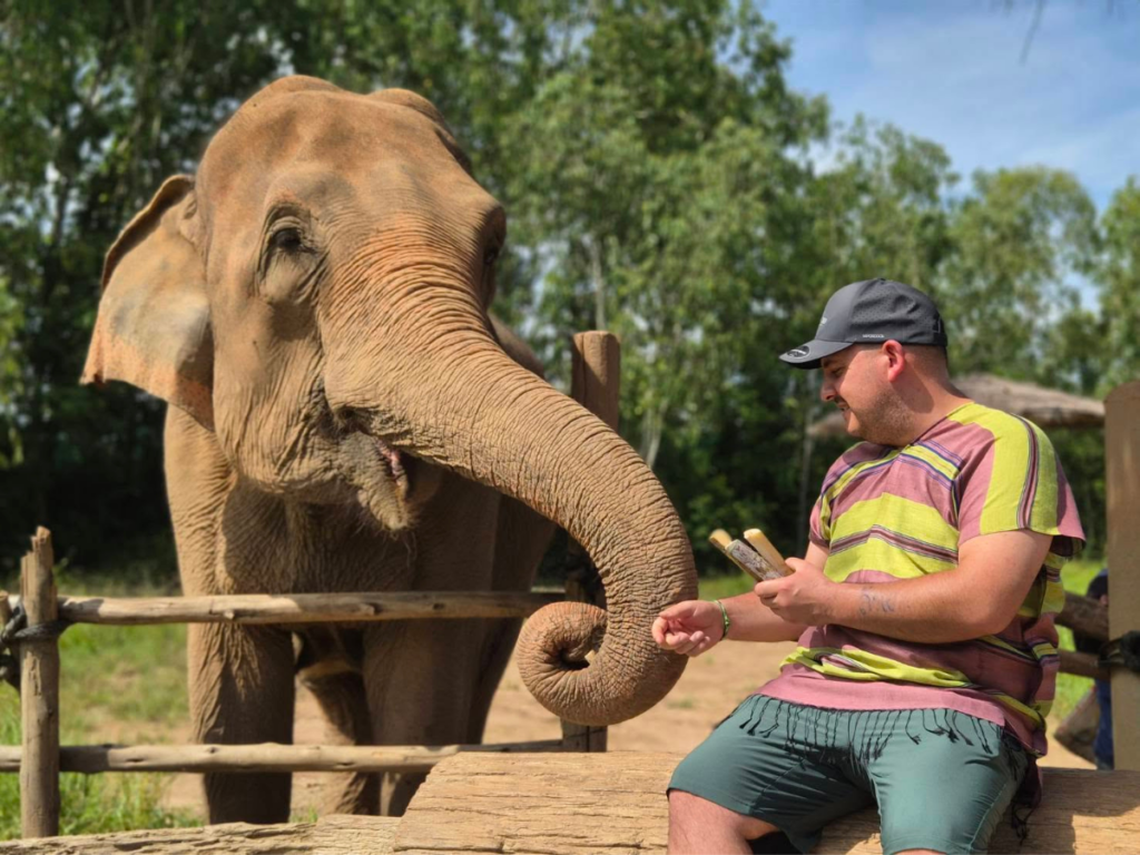 Elephant Fun Farm
