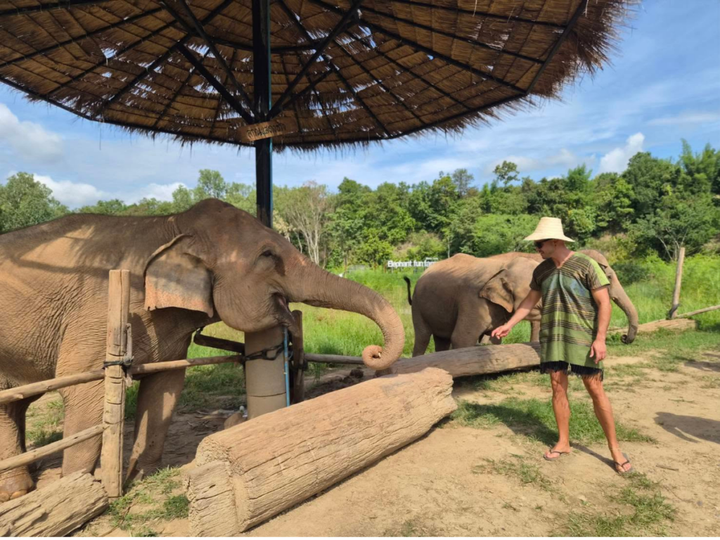 Elephant Fun Farm