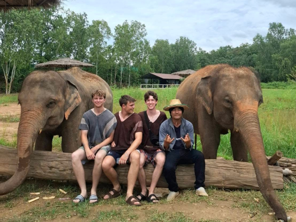 Elephant Fun Farm