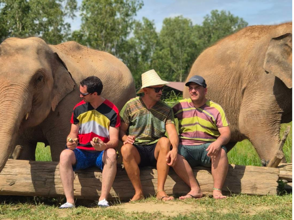 Elephant Fun Farm