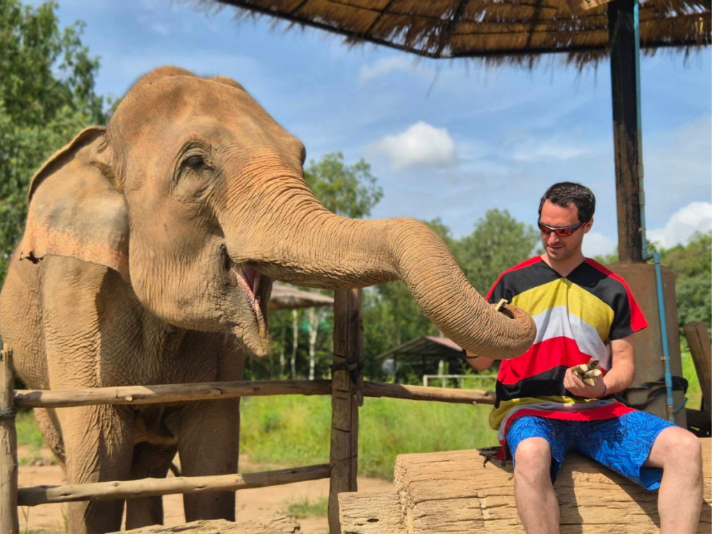 Elephant Fun Farm