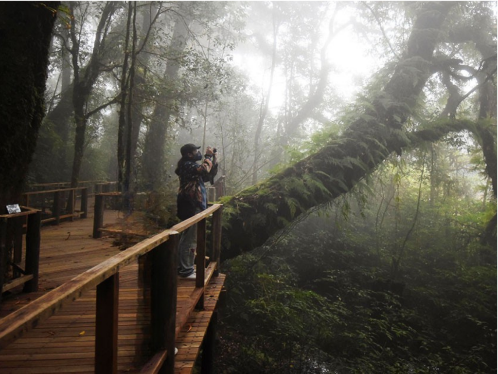 Tour Doi Inthanon National Park