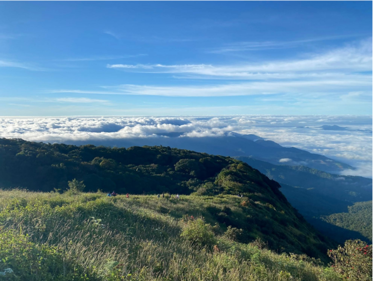 Tour Doi Inthanon National Park – Trek Kew Mae Pan