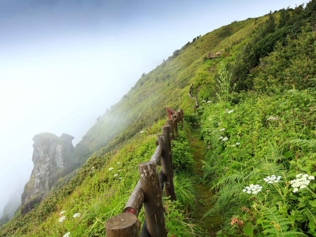Tour Doi Inthanon National Park – Trek Kew Mae Pan
