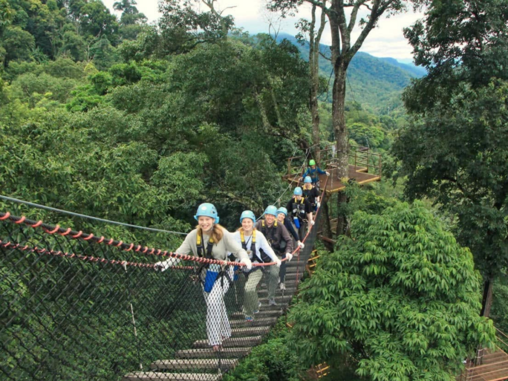 Kingkong Smile Zipline