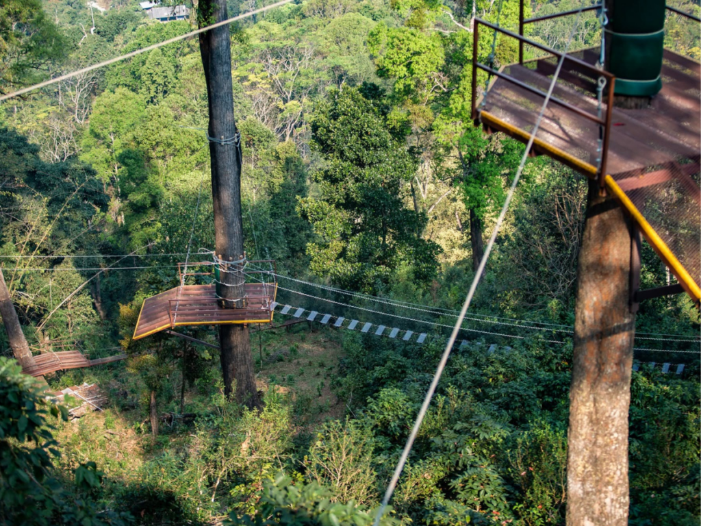 Kingkong Smile Zipline