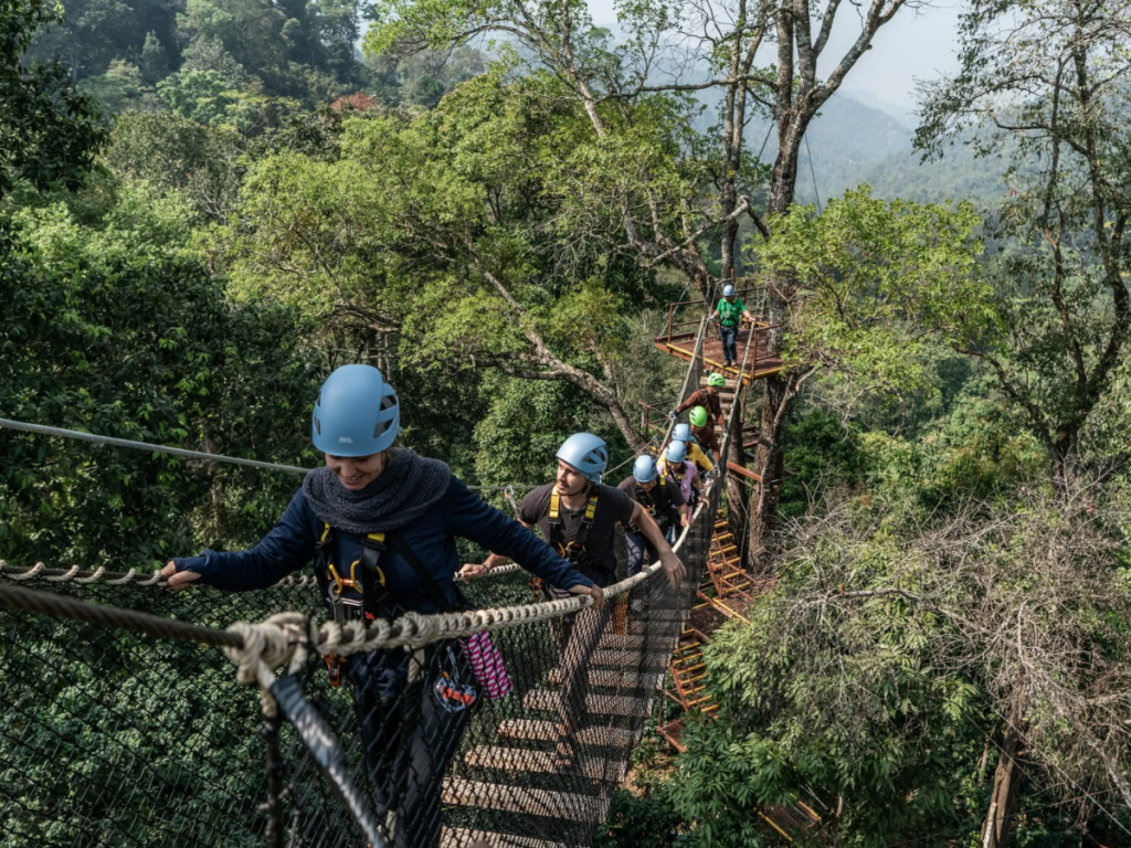 Kingkong Smile Zipline