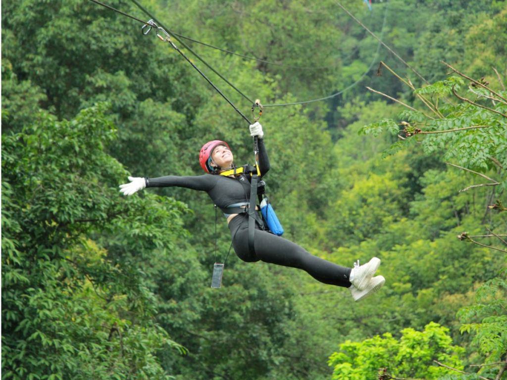 Kingkong Smile Zipline