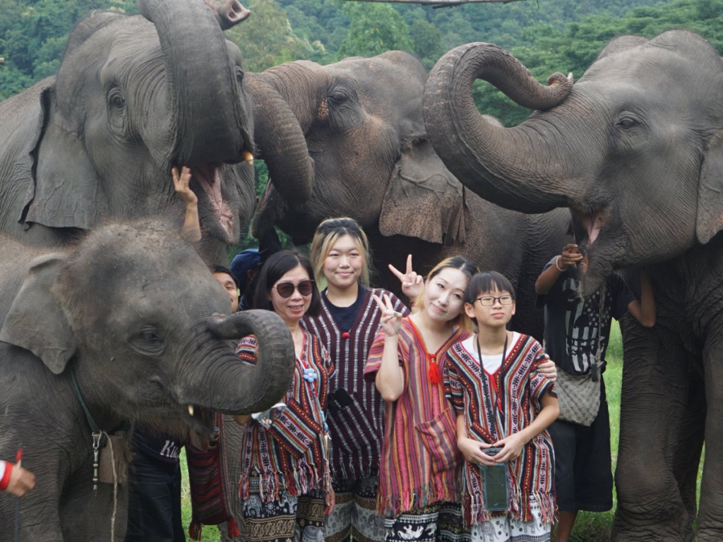 Lanna Elephant Care