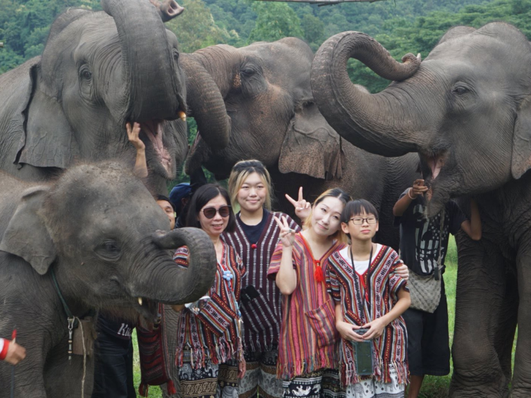 Lanna Elephant Care