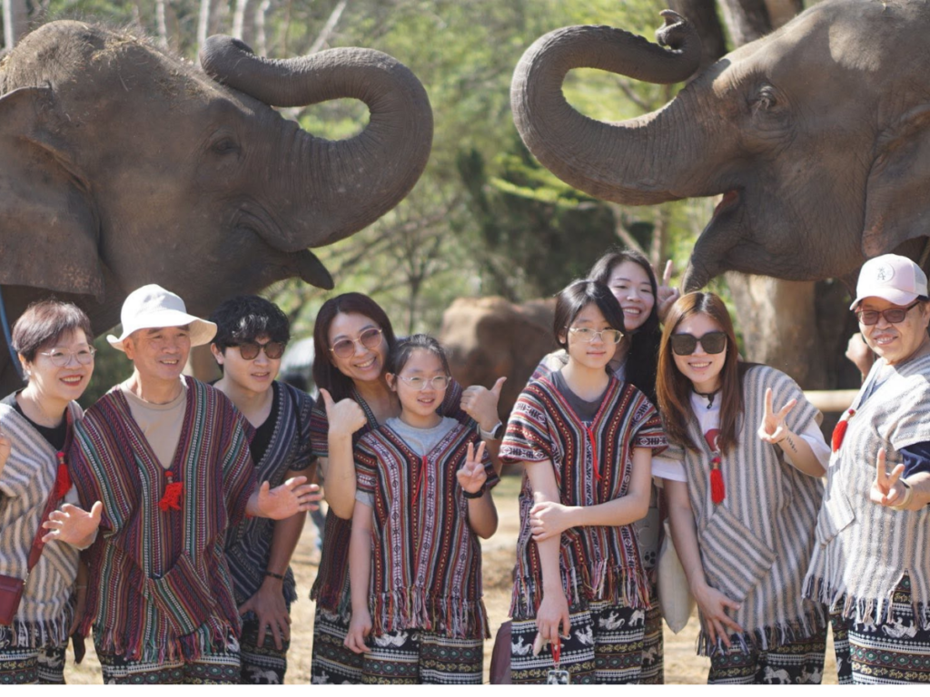Lanna Elephant Care
