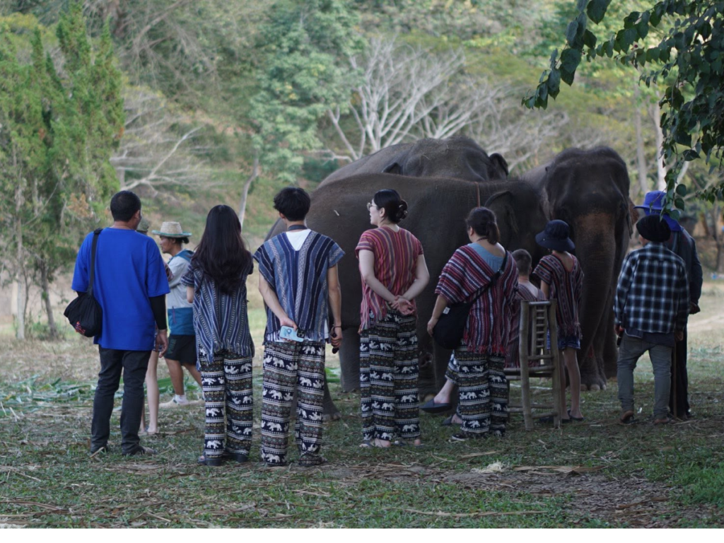 Lanna Elephant Care
