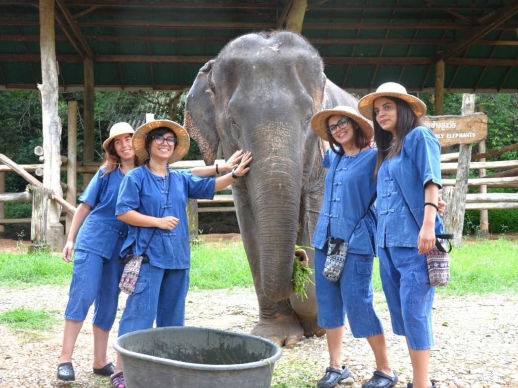 Maesa Elephant Camp