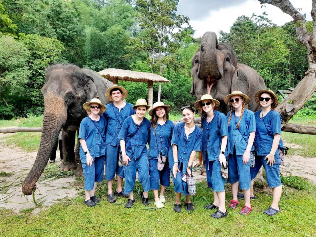 Maesa Elephant Camp