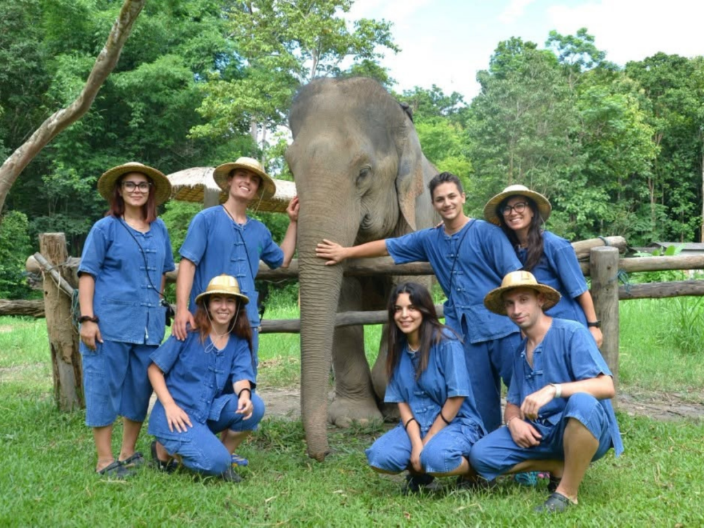 Maesa Elephant Camp