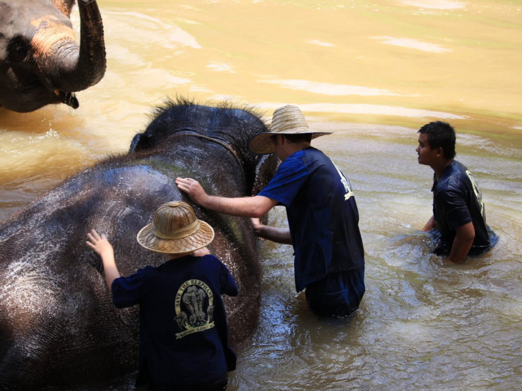 Maetaeng Elephant Park
