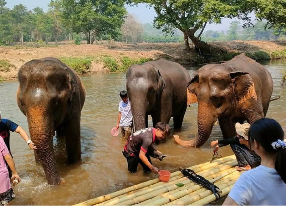Maewang Adventure รูป 4