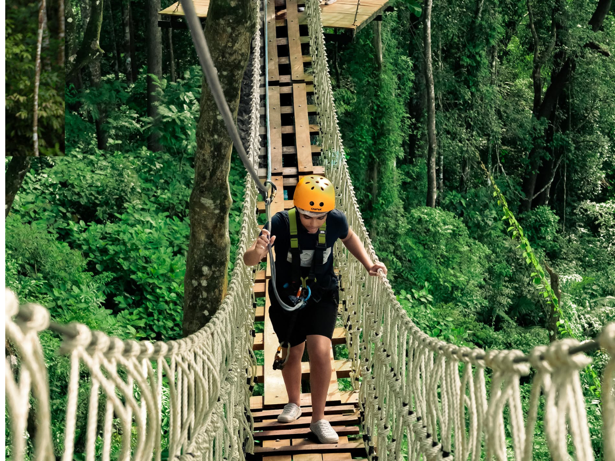 Patong Mountain View Zipline รูป 2
