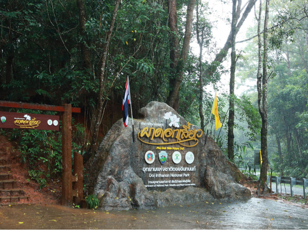 Tour Doi Inthanon National Park – Trek Pha Dok Siew