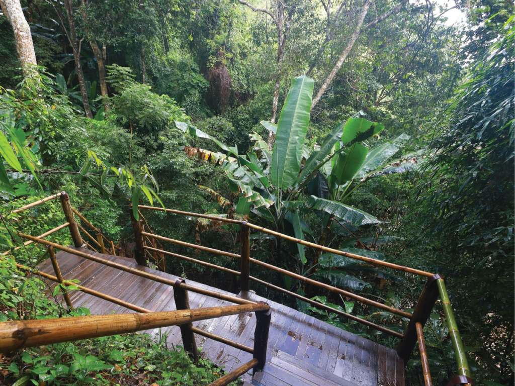 Tour Doi Inthanon National Park – Trek Pha Dok Siew