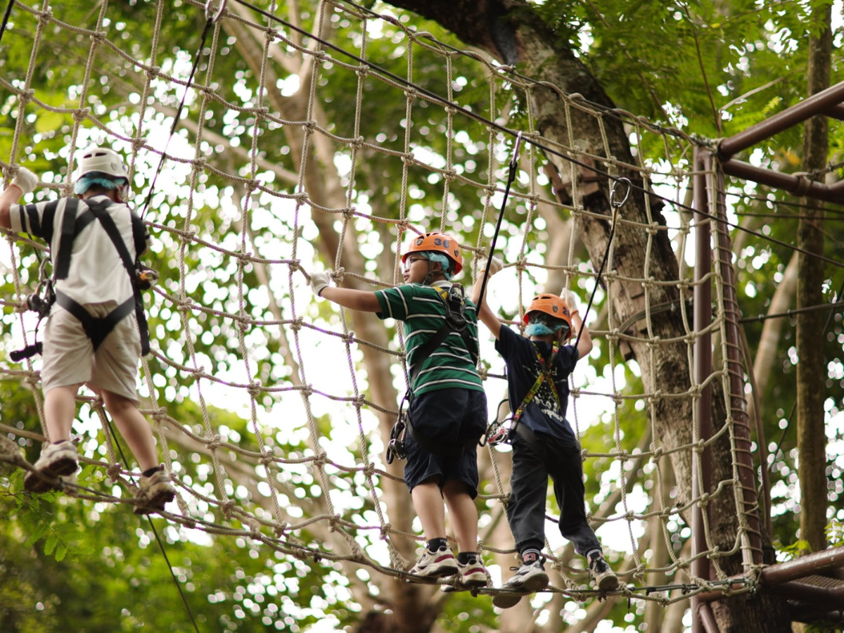 Phoenix Adventure Park รูป 4