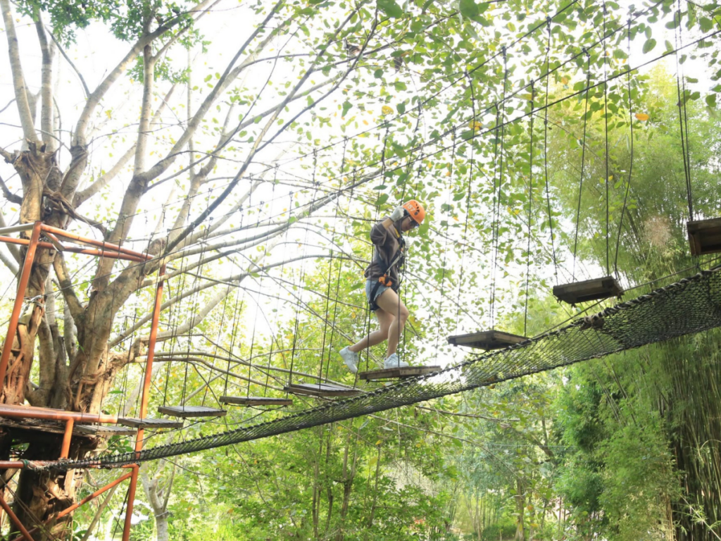 Phoenix Adventure Park