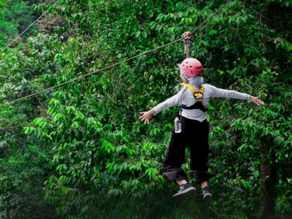 pongyang-jungle