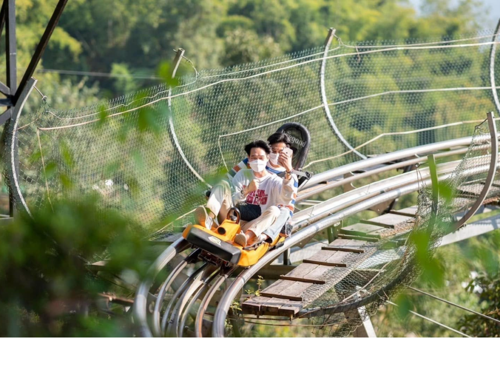 pongyang-jungle