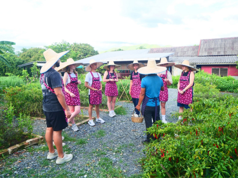 Smile Organic Farm Thai Cooking School