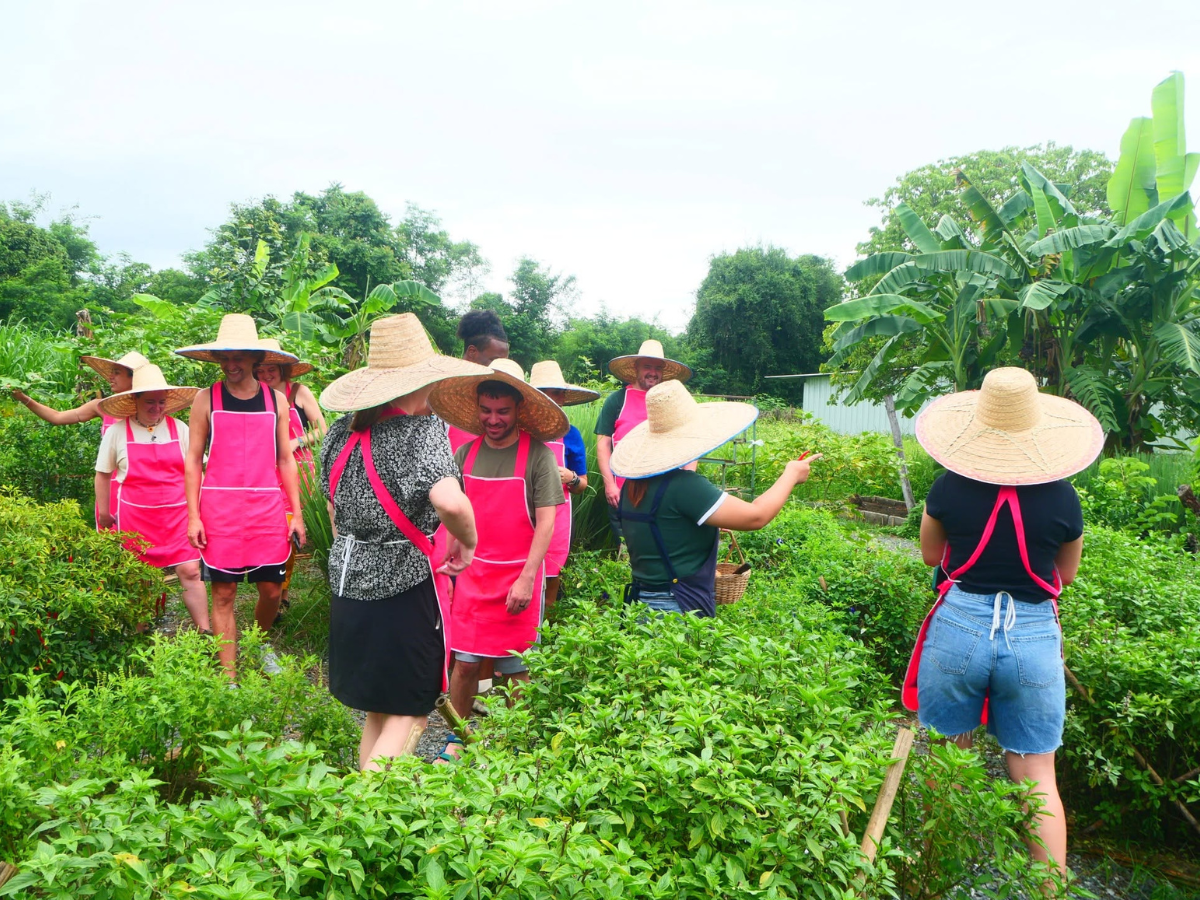 Smile Organic Farm Thai Cooking School รูป 4