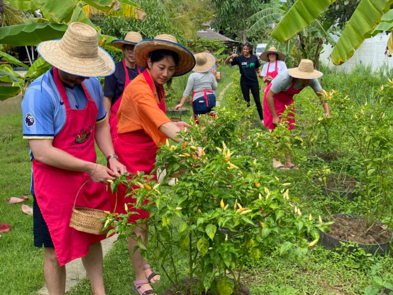 The Best Thai Cooking Course