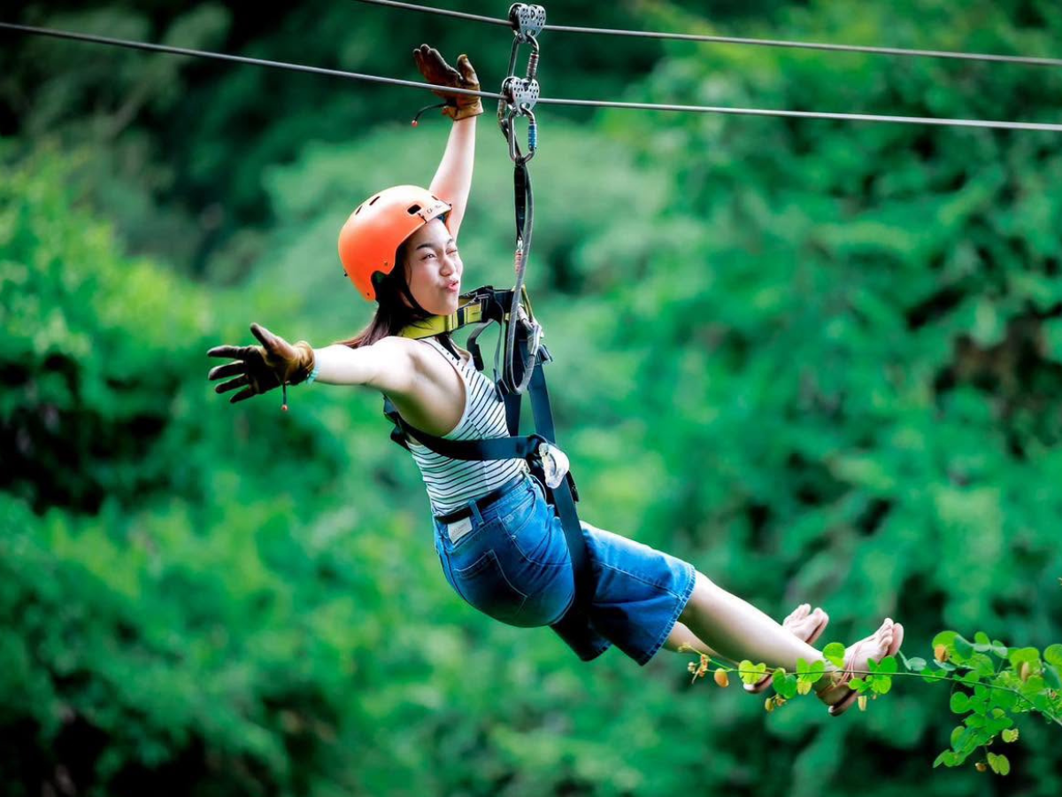 Tree Bridge Zipline Samui รูป 1