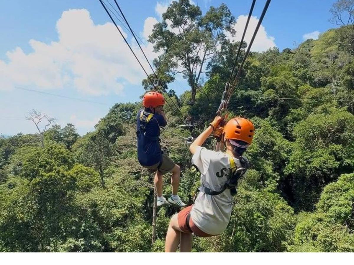 Tree Bridge Zipline Samui รูป 3