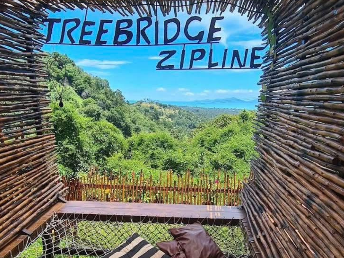Tree Bridge Zipline Samui รูป 5