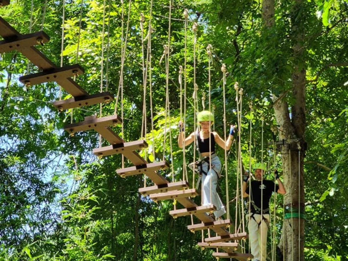 Tree Top Adventure Park Kanchanaburi รูป 5