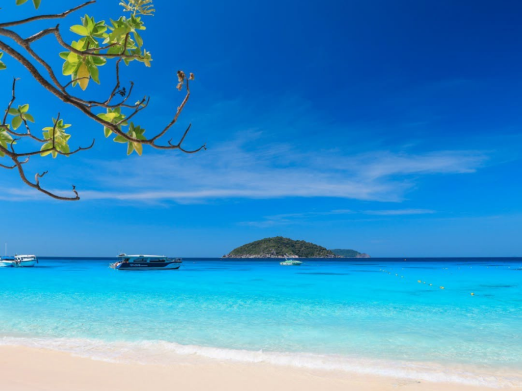 ทัวร์เกาะพีพี-เกาะไข่ เต็มวัน SpeedBoat
