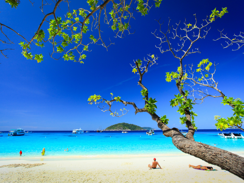 B ทัวร์เกาะสิมิลัน SpeedBoat ไปเช้า-เย็นกลับ