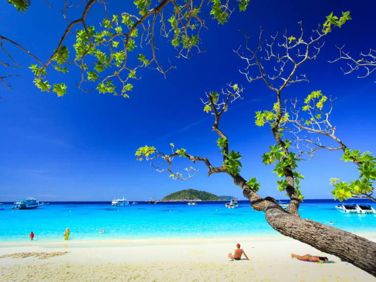 B ทัวร์เกาะสิมิลัน SpeedBoat ไปเช้า-เย็นกลับ
