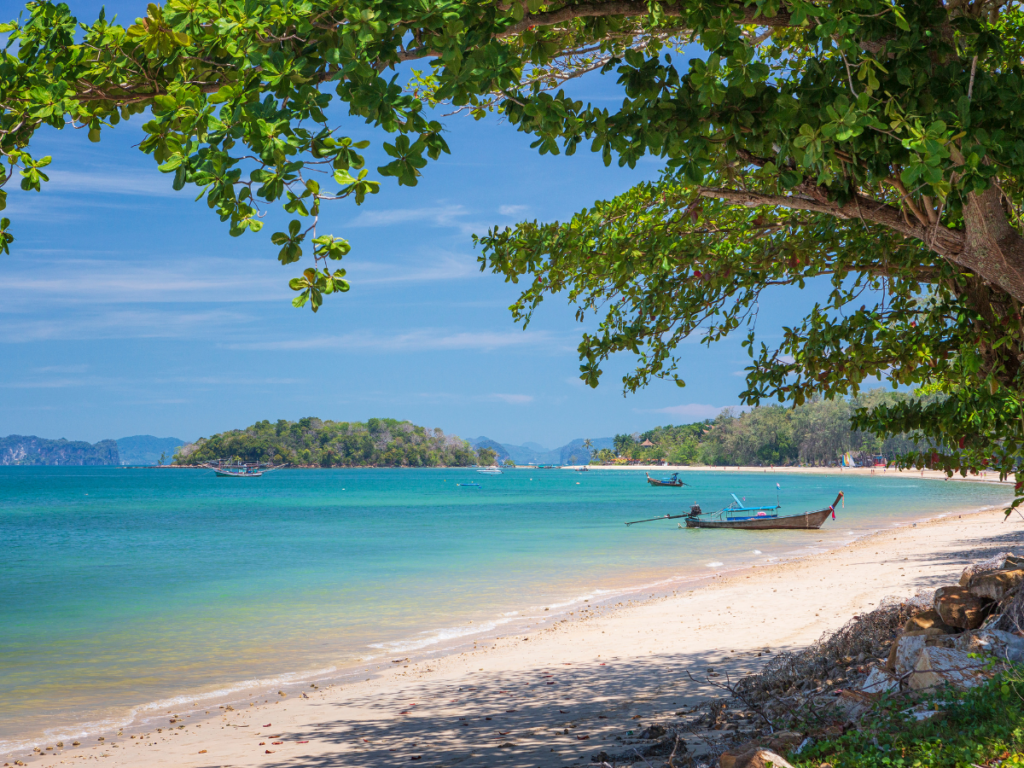 A ทัวร์เกาะพีพี + เกาะไม้ท่อน ( ชมพระอาทิตย์ตก ) SpeedBoat ไปเช้า-เย็นกลับ