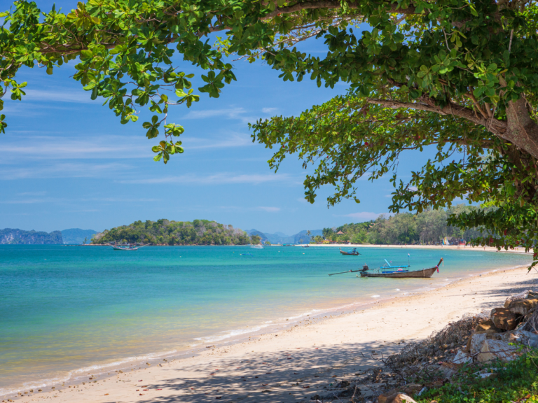 A ทัวร์เกาะพีพี + เกาะไม้ท่อน ( ชมพระอาทิตย์ตก ) SpeedBoat ไปเช้า-เย็นกลับ