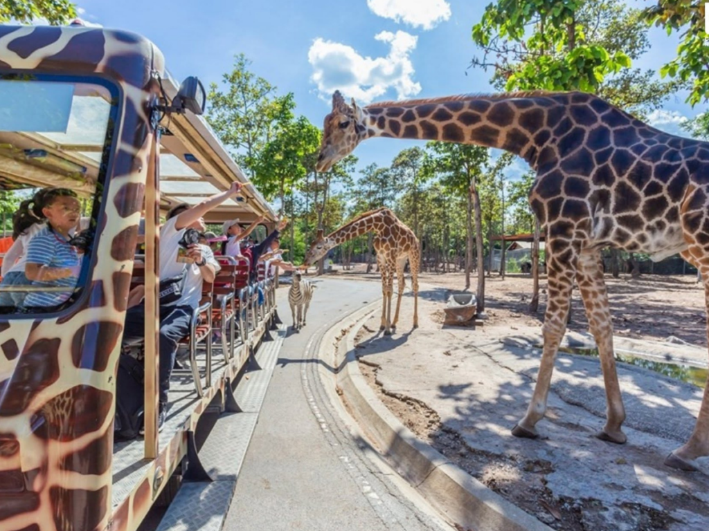 เชียงใหม่ไนท์ซาฟารี Chiang Mai Night Safari