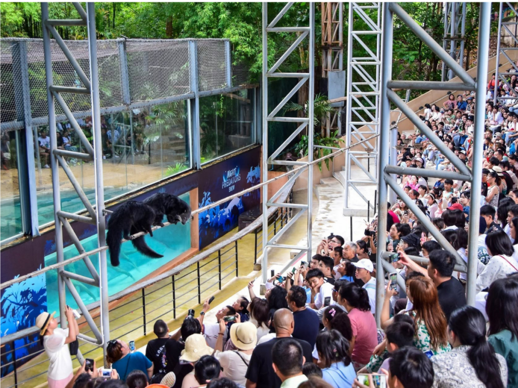 เชียงใหม่ไนท์ซาฟารี Chiang Mai Night Safari